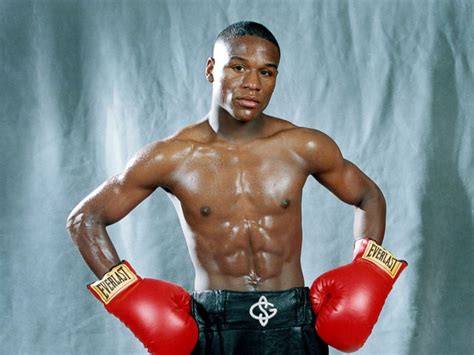 merriweather boxer
